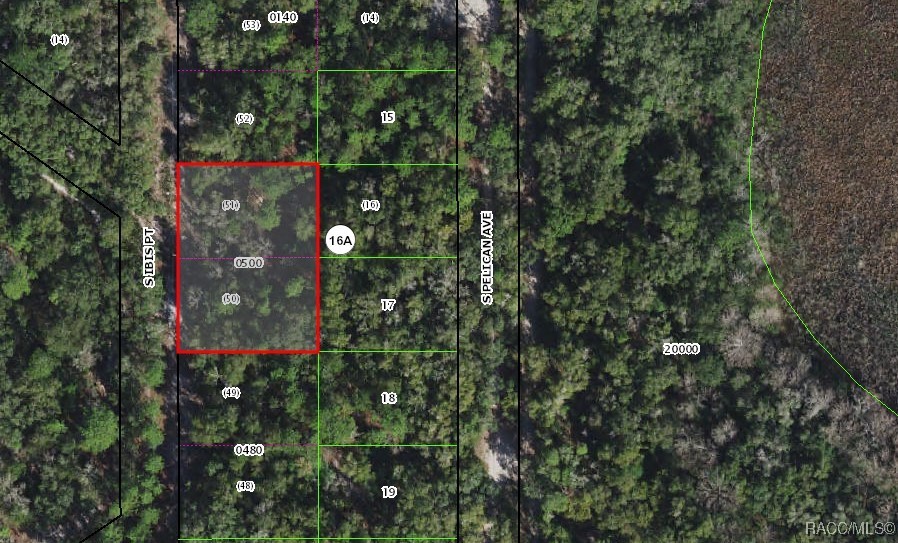 3849 S Ibis Point, Inverness, Florida image 1
