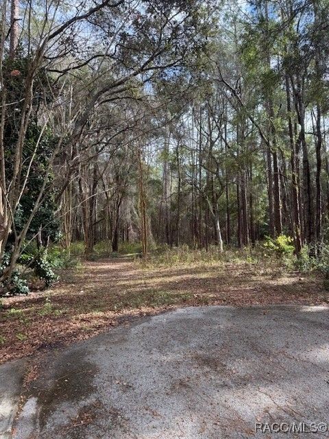 Vacant Land For Sale - 1074 W Legion Court<br/> Hernando, FL 34442