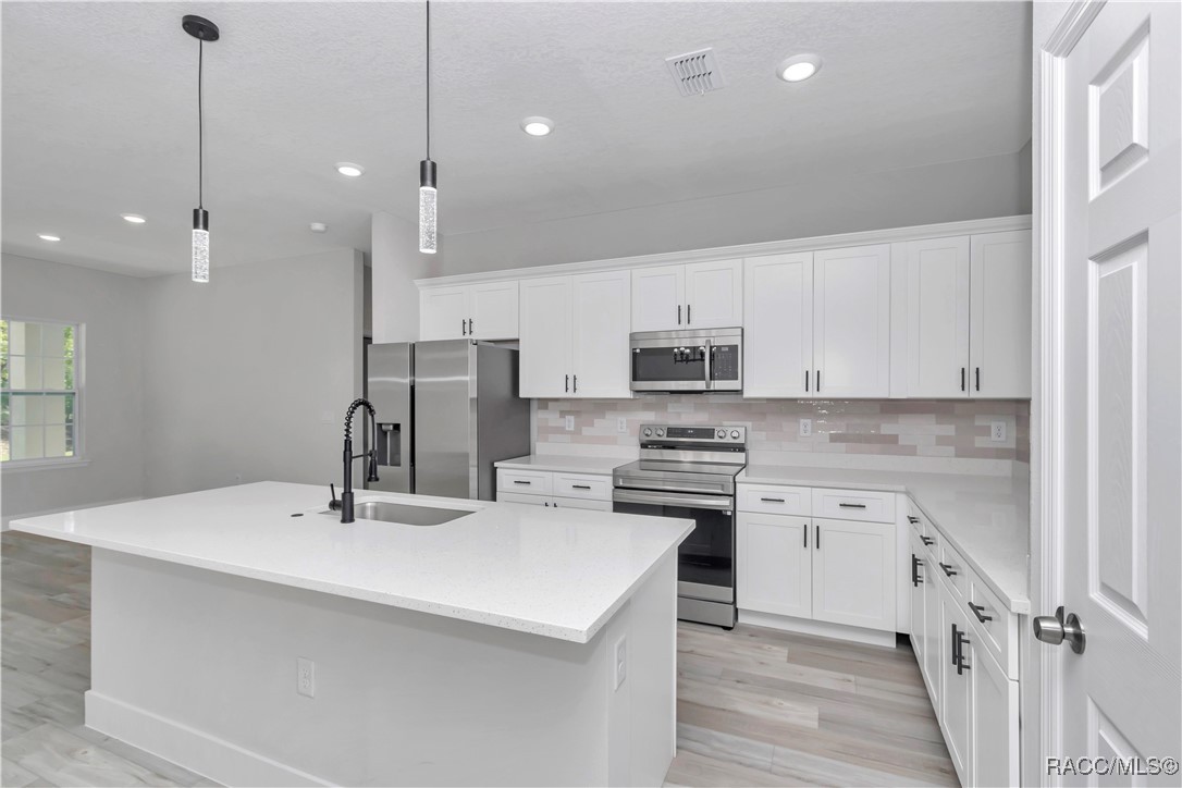 2449 W Andromedae Drive, Citrus Springs, Florida image 10