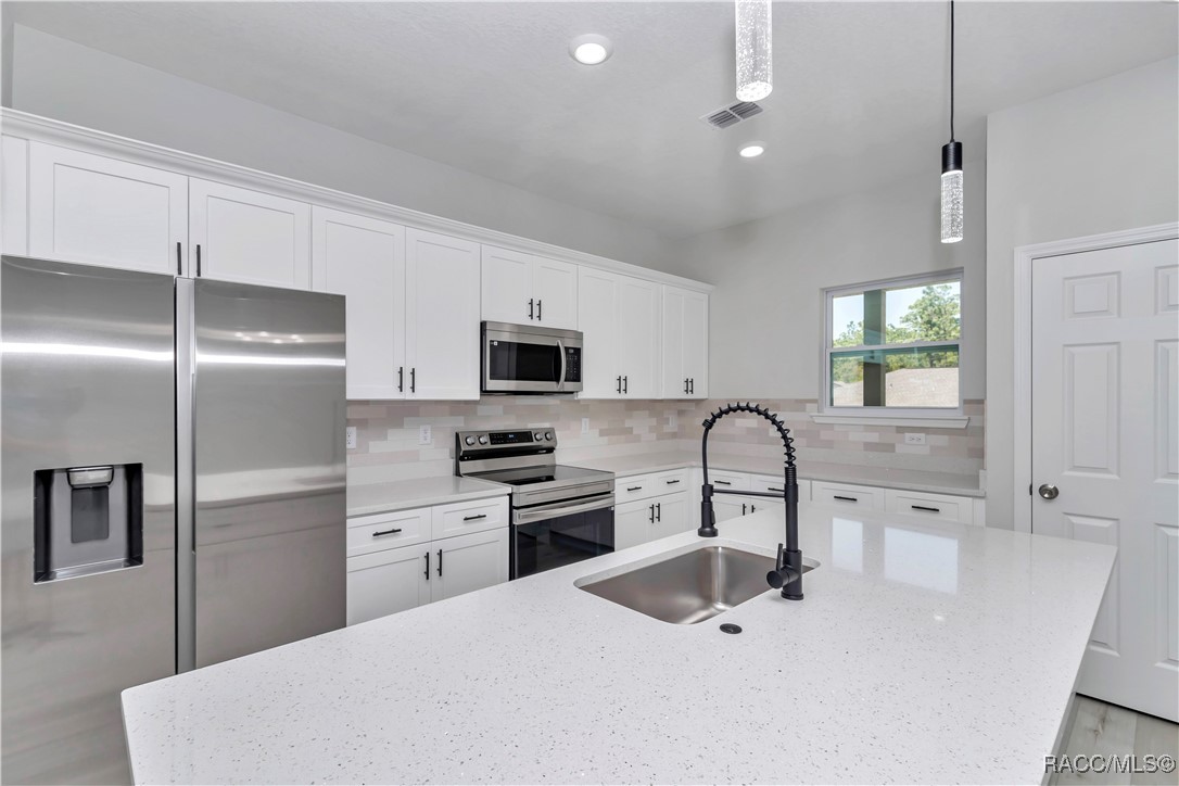 2449 W Andromedae Drive, Citrus Springs, Florida image 11
