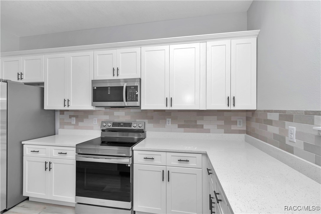2449 W Andromedae Drive, Citrus Springs, Florida image 12