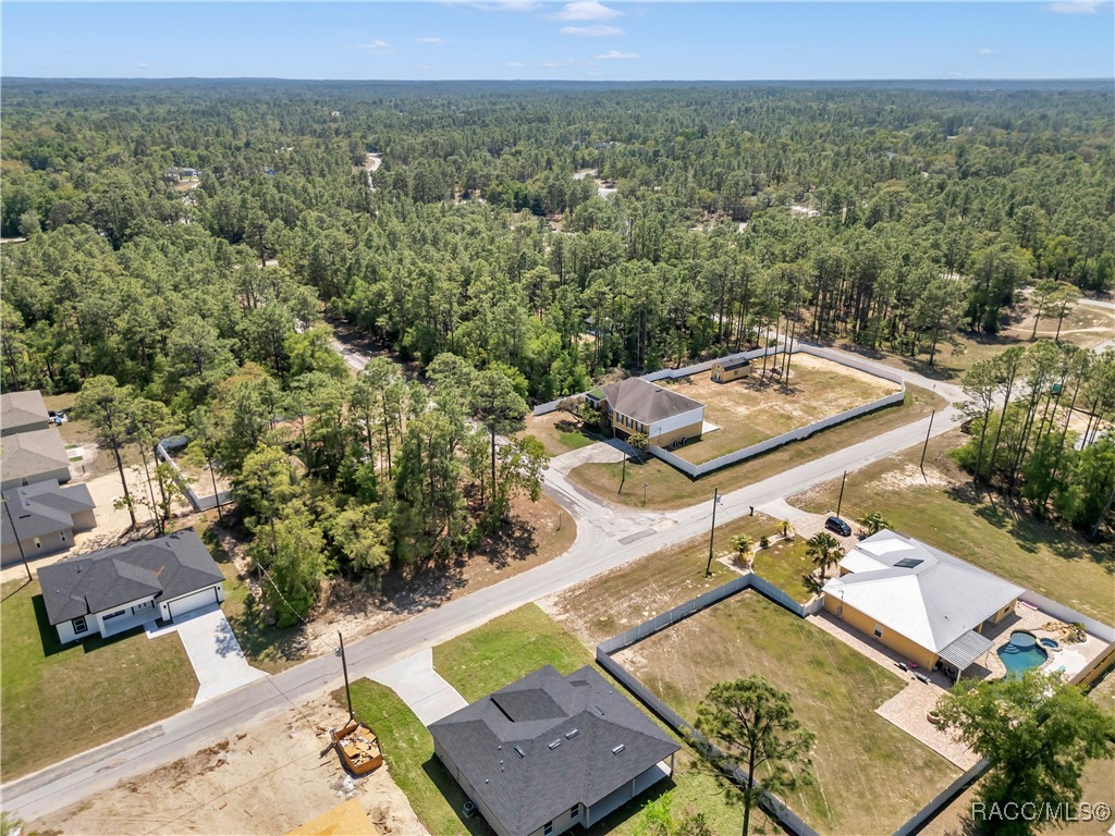 2449 W Andromedae Drive, Citrus Springs, Florida image 39