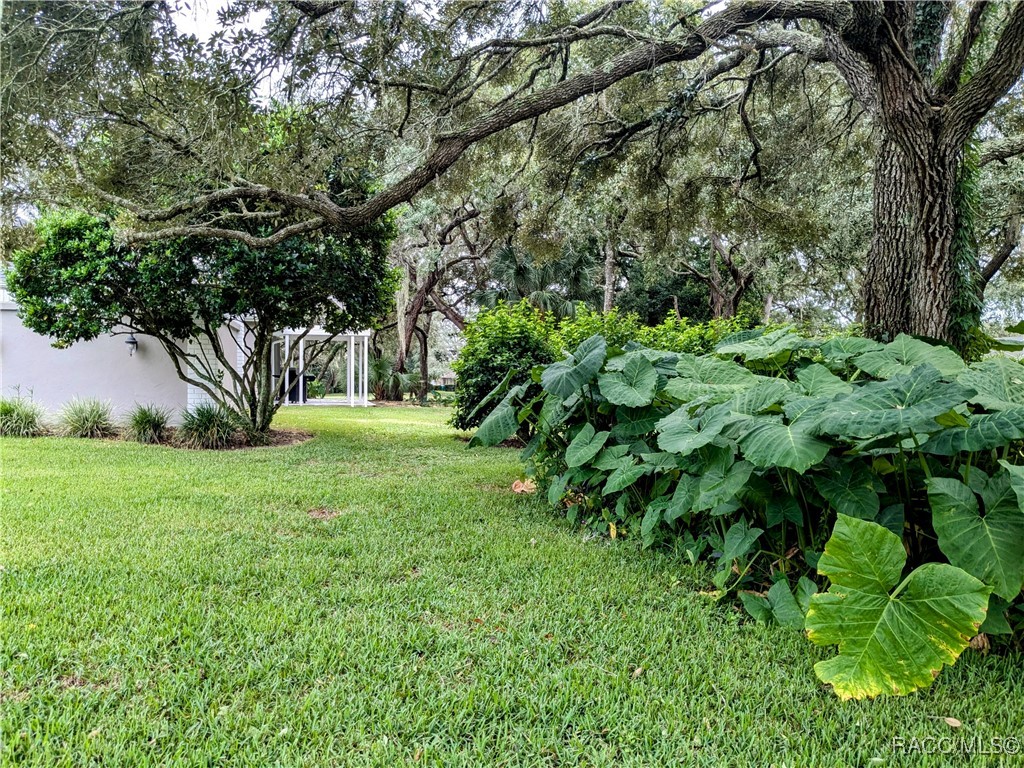 168 E Hartford Street, Hernando, Florida image 41