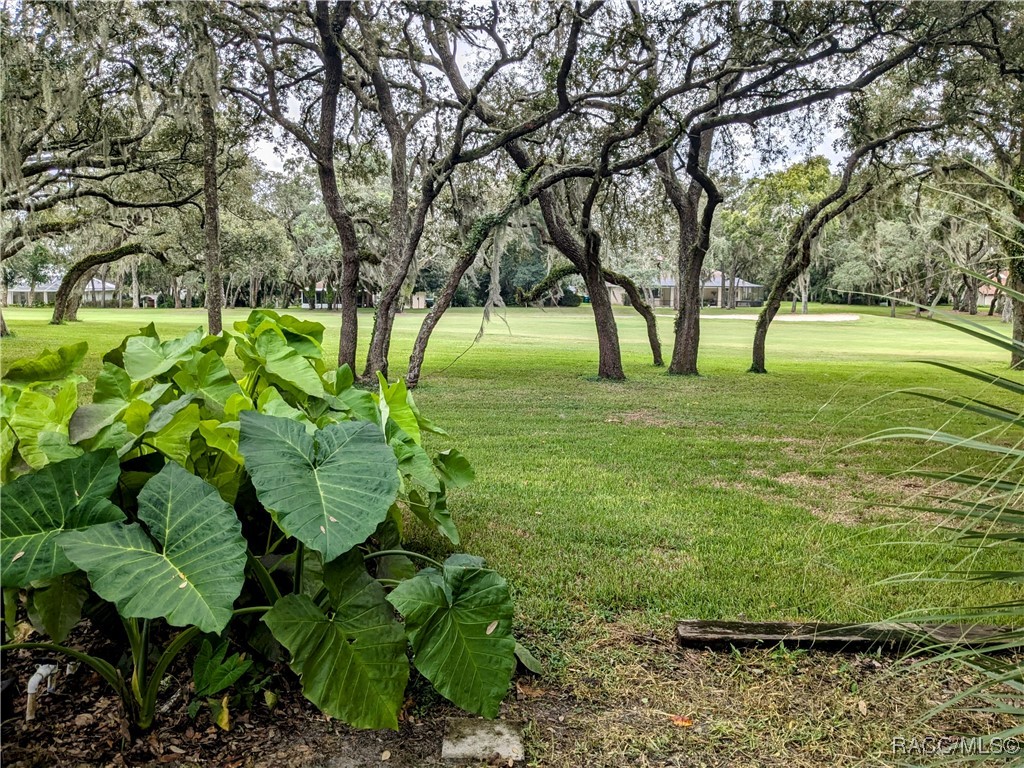 168 E Hartford Street, Hernando, Florida image 47