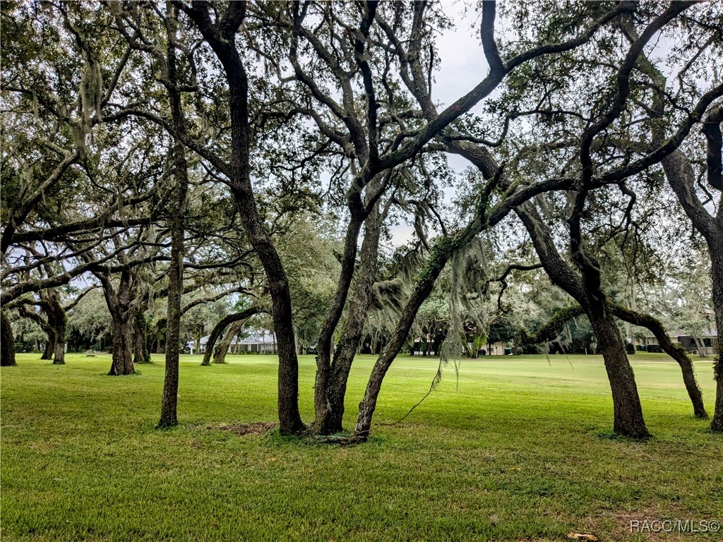 168 E Hartford Street, Hernando, Florida image 36