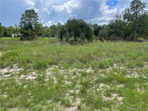 Vacant Land For Sale - 6028 W Alessi Place<br/> Dunnellon, FL 34433