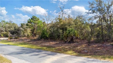 Vacant Land For Sale - 2257 N Stampede Drive<br/> Beverly Hills, FL 34465