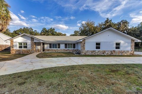223 S Nesbitt Terrace Inverness FL 34450