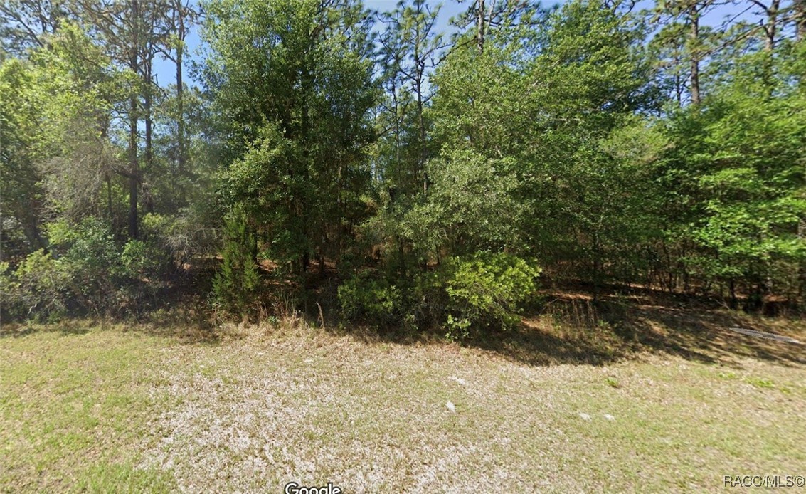 Lot 3 SW 102nd Street Road, Dunnellon, New York image 5