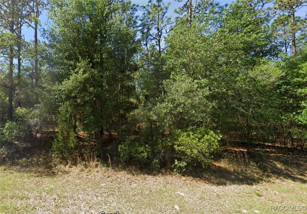 Lot 3 SW 102nd Street Road, Dunnellon, New York image 1
