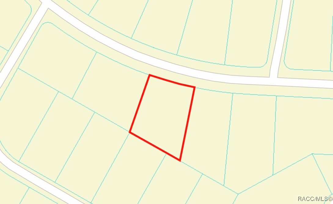 Lot 3 SW 102nd Street Road, Dunnellon, New York image 6