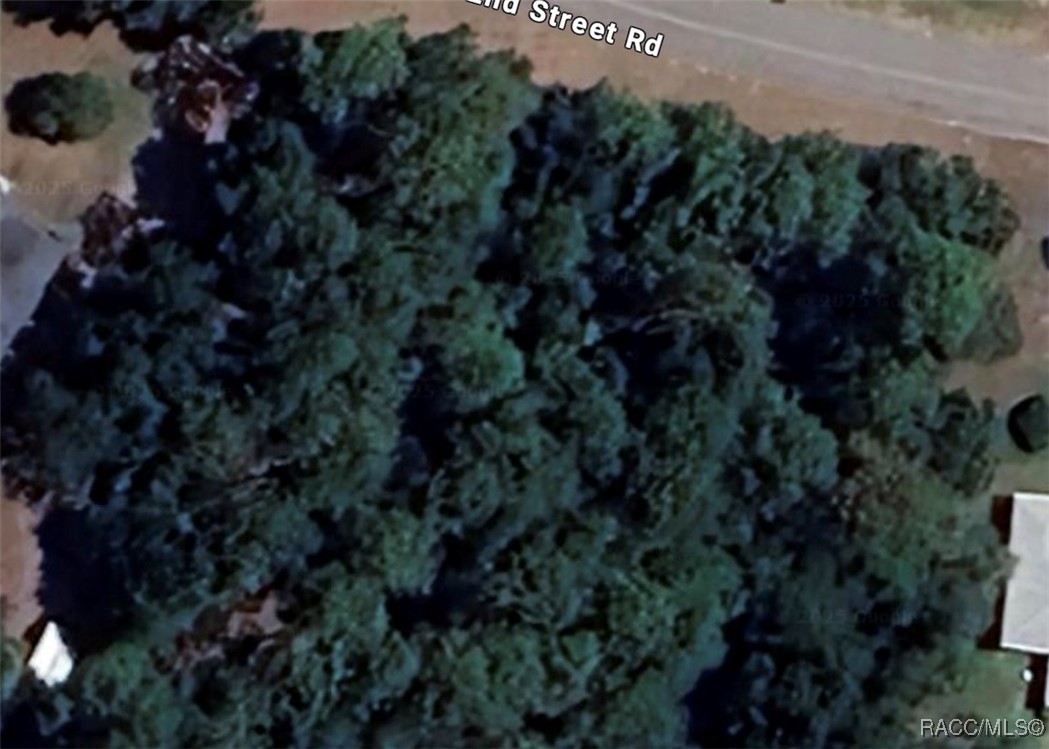 Lot 3 SW 102nd Street Road, Dunnellon, New York image 4