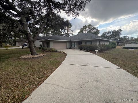 3070 W Bermuda Dunes Drive Lecanto FL 34461