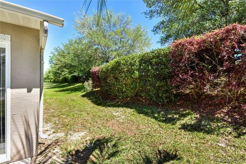 A home in Hernando