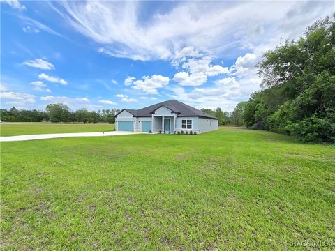 814 E Bismark Street Hernando FL 34442