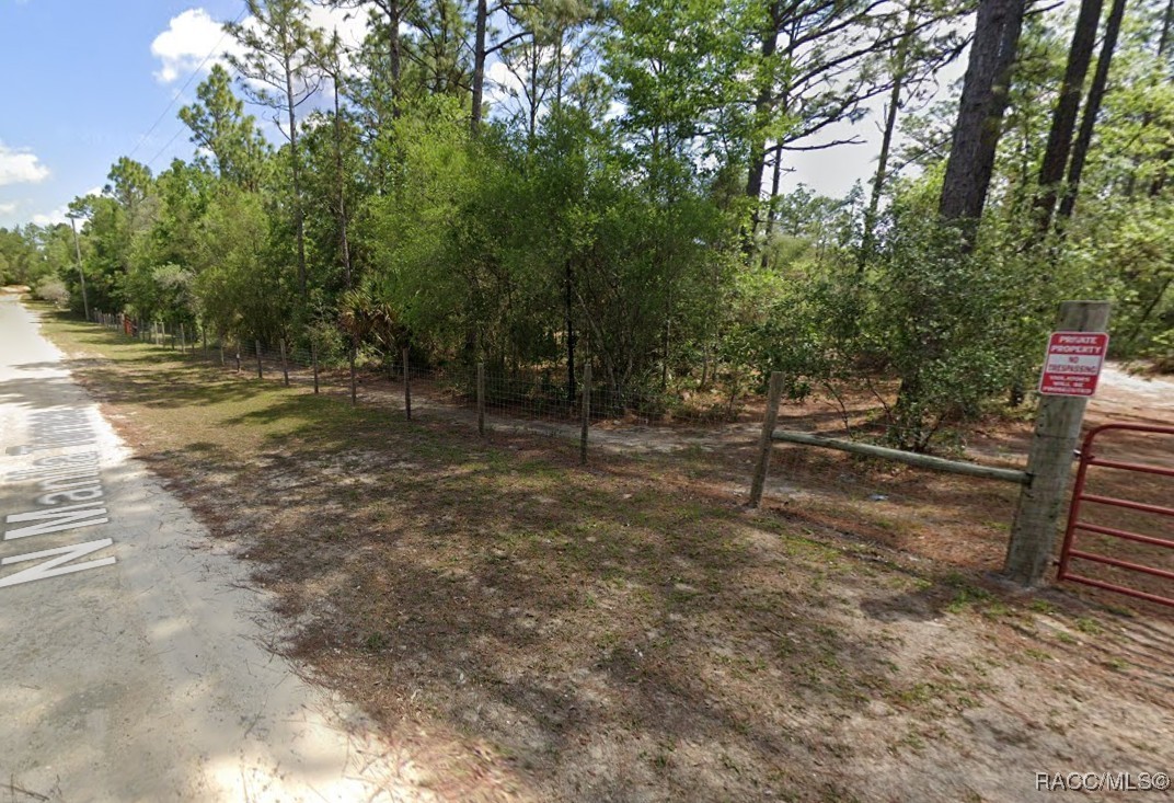 9031 N Manila Terrace, Dunnellon, New York image 4