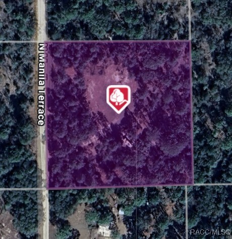 9031 N Manila Terrace, Dunnellon, New York image 5