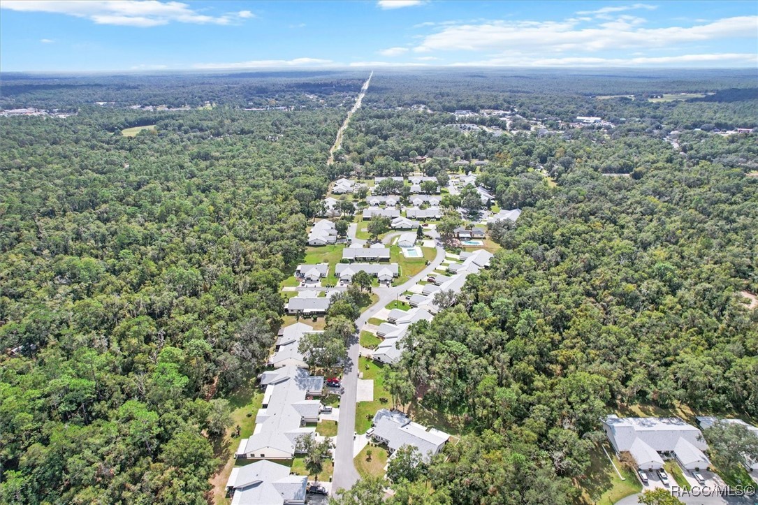 1867 Elderberry Lane, Inverness, Florida image 38