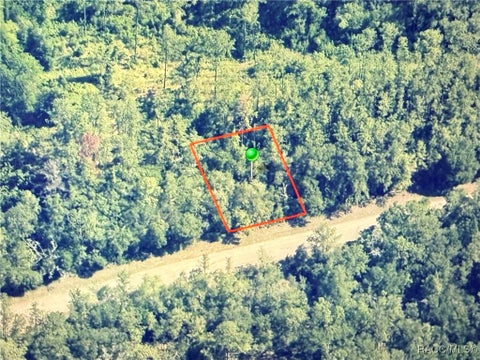 Vacant Land For Sale - 781 E Byrd Loop<br/> Dunnellon, FL 34434