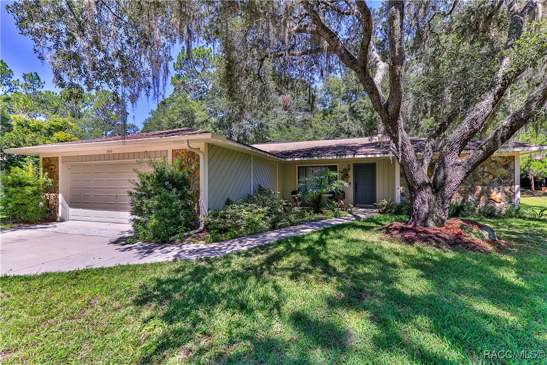 10830 SW 185th Terrace, Dunnellon, Florida image 1