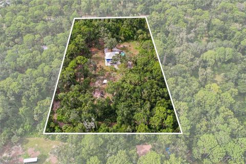9782 W Woodhaven Drive Crystal River FL 34428