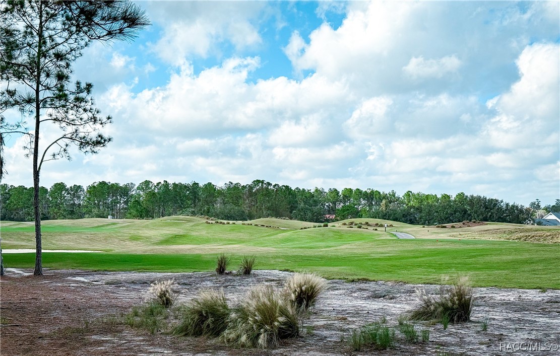 5253 Ravensbrook Court, Brooksville, Florida image 9