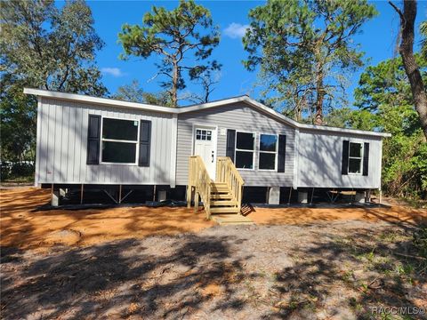 A home in Homosassa