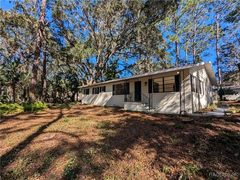 1741 N Crooked Branch Drive Lecanto FL 34461