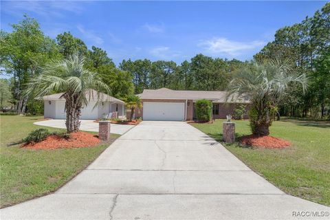 4749 N Pink Poppy Drive Beverly Hills FL 34465