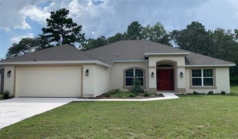 8732 N Trojan Drive Citrus Springs FL 34453