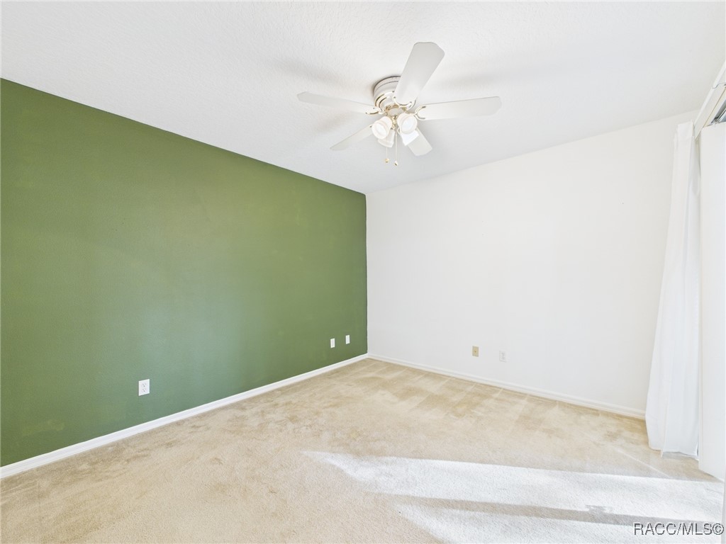 371 E Buckingham Drive, Lecanto, Florida image 21