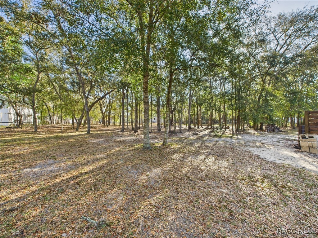 371 E Buckingham Drive, Lecanto, Florida image 33
