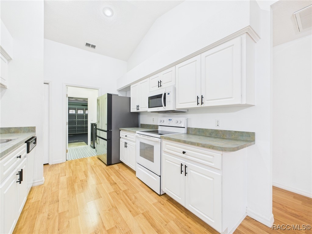 371 E Buckingham Drive, Lecanto, Florida image 11