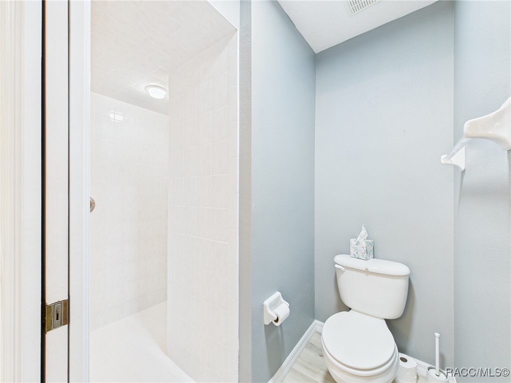 371 E Buckingham Drive, Lecanto, Florida image 20