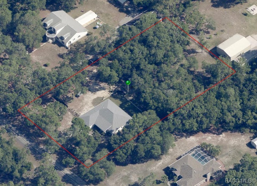 371 E Buckingham Drive, Lecanto, Florida image 39