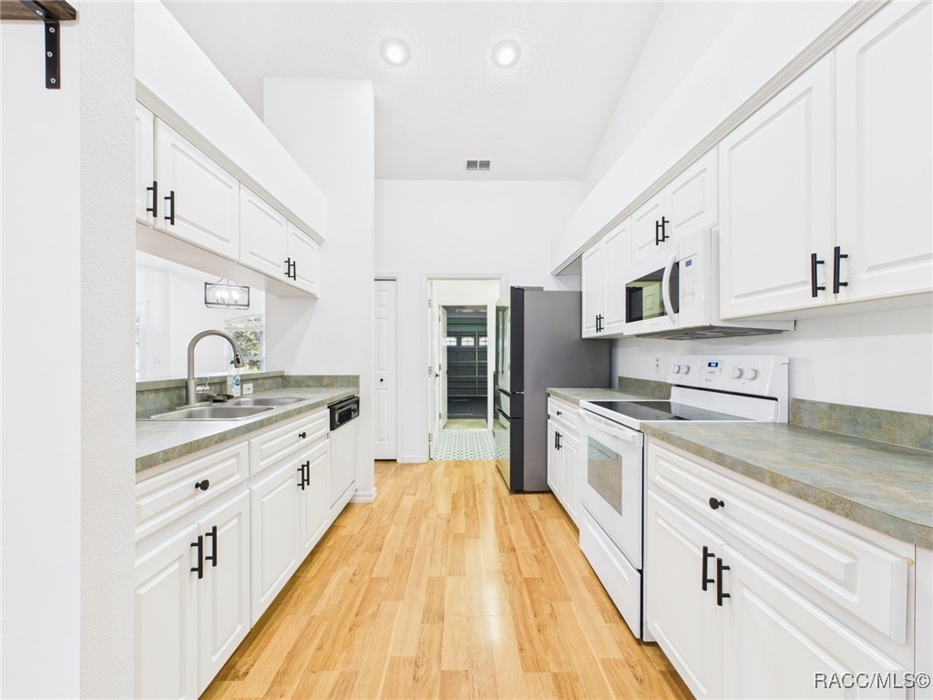 371 E Buckingham Drive, Lecanto, Florida image 10