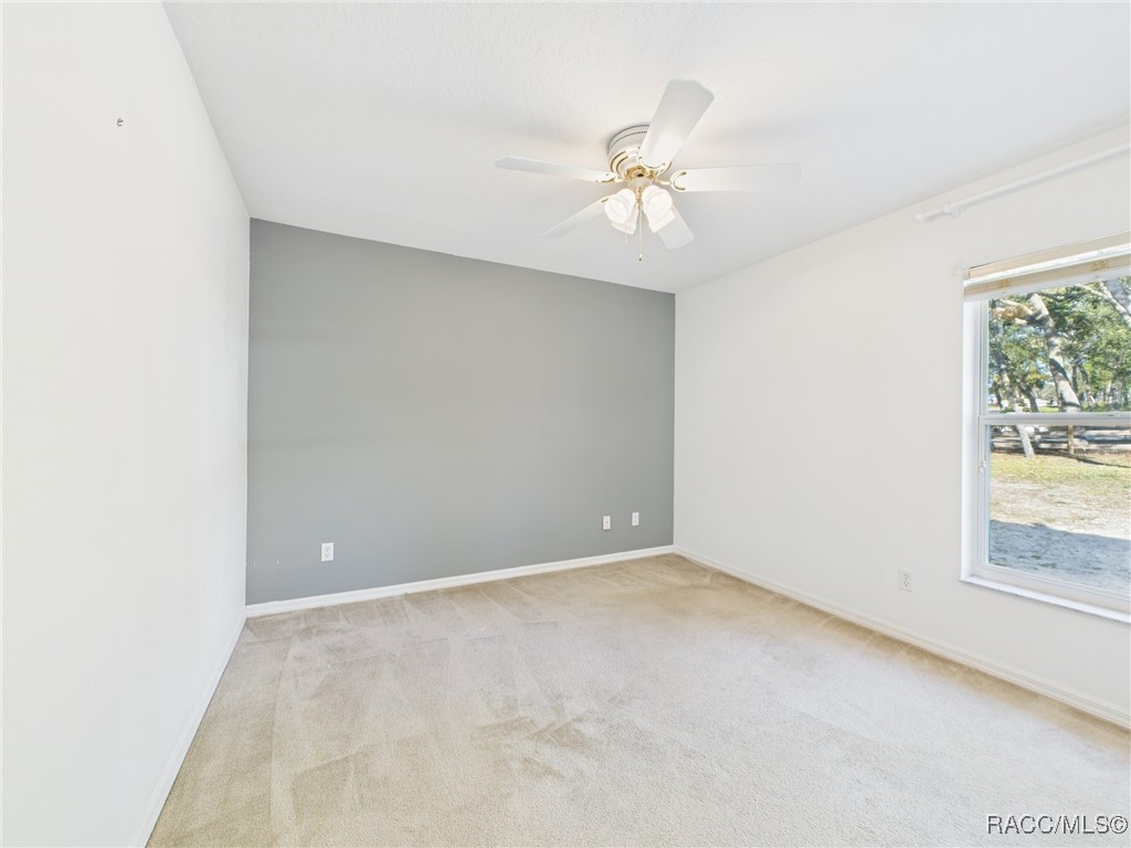 371 E Buckingham Drive, Lecanto, Florida image 24