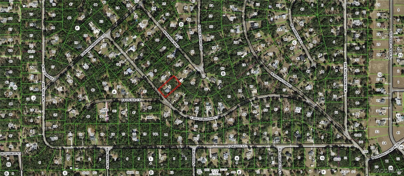 371 E Buckingham Drive, Lecanto, Florida image 41