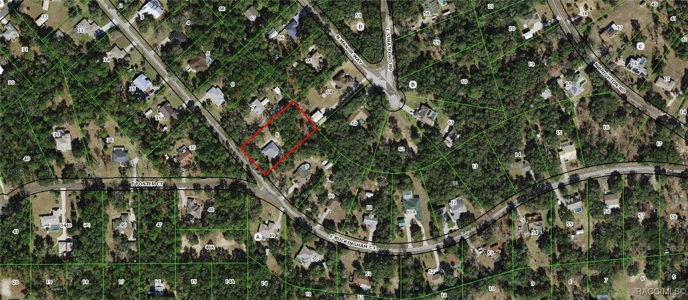 371 E Buckingham Drive, Lecanto, Florida image 42