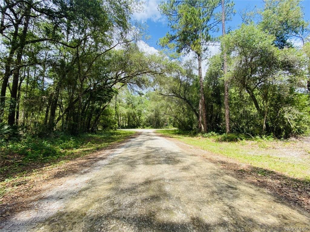 Karagan Court, Webster, Florida image 3