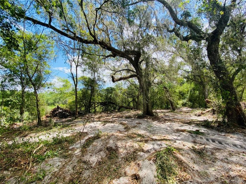 Karagan Court, Webster, Florida image 4