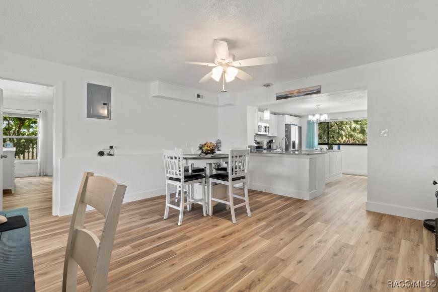 10684 W Halls River Road #2, Homosassa, New York image 14