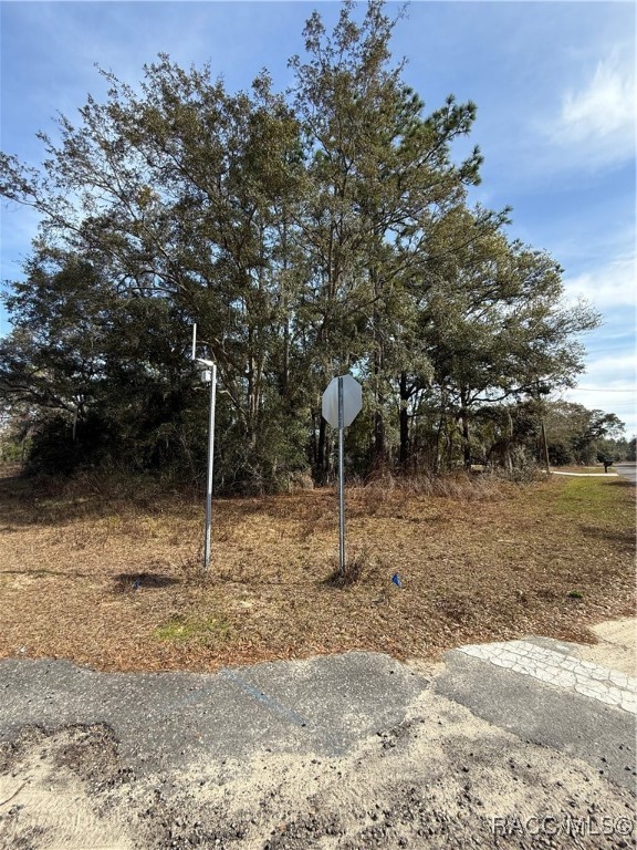 11009 N Morrell Drive, Citrus Springs, Florida image 9