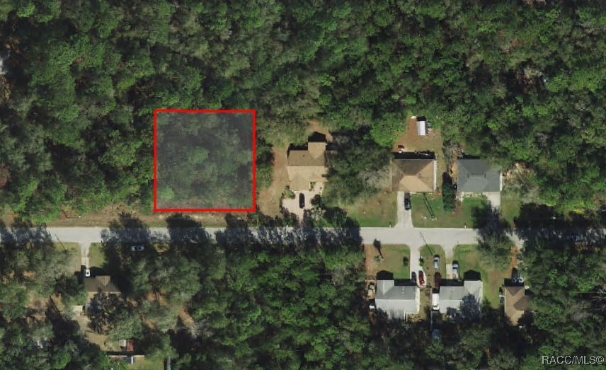 3311 E Murray Street, Inverness, Florida image 3
