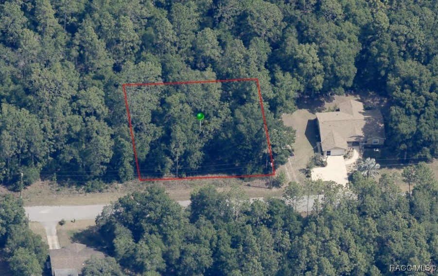 3311 E Murray Street, Inverness, Florida image 1