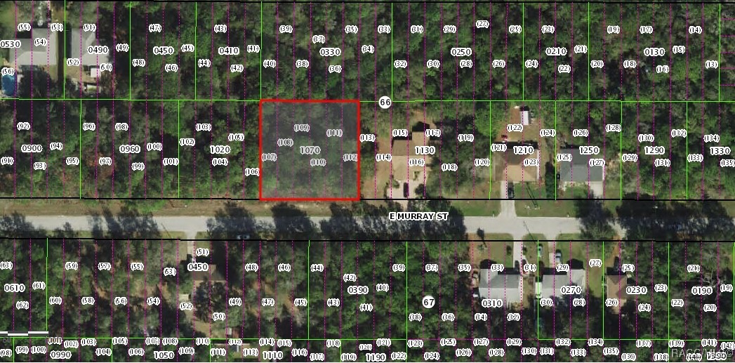 3311 E Murray Street, Inverness, Florida image 6