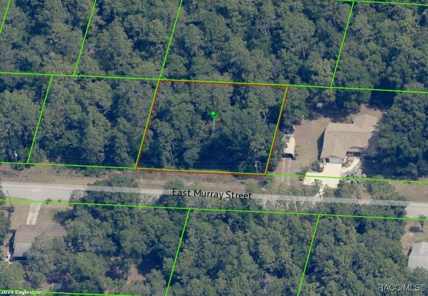 3311 E Murray Street, Inverness, Florida image 4