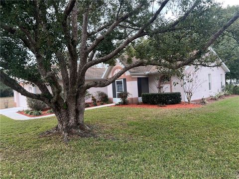 A home in Hernando