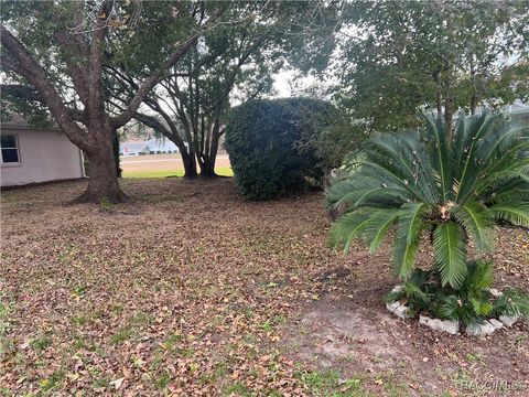 A home in Hernando