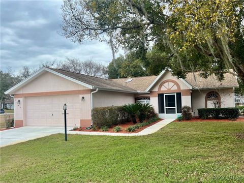 A home in Hernando